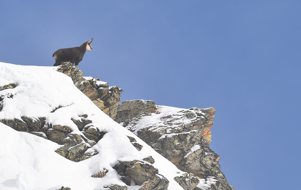 DS5_2288.jpg