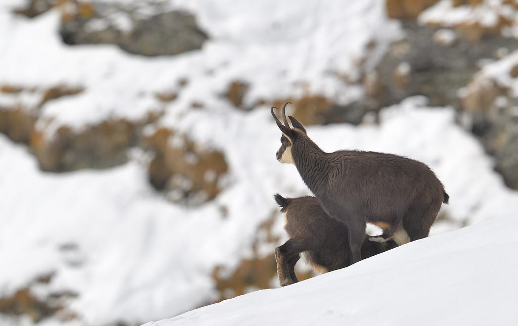 DS5_2290.jpg
