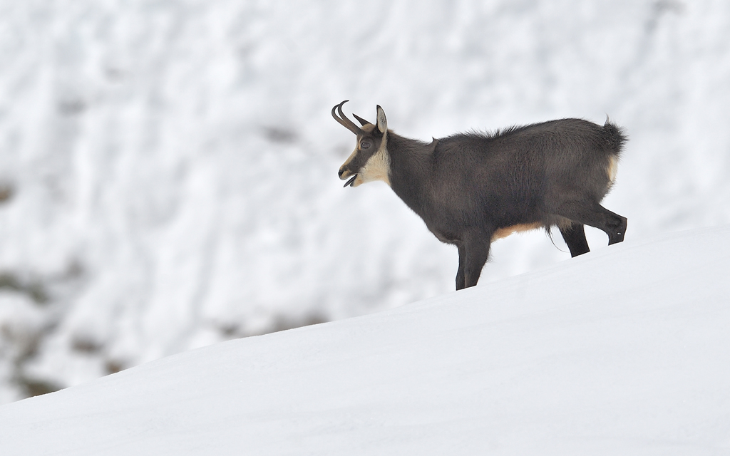DS5_2296.jpg