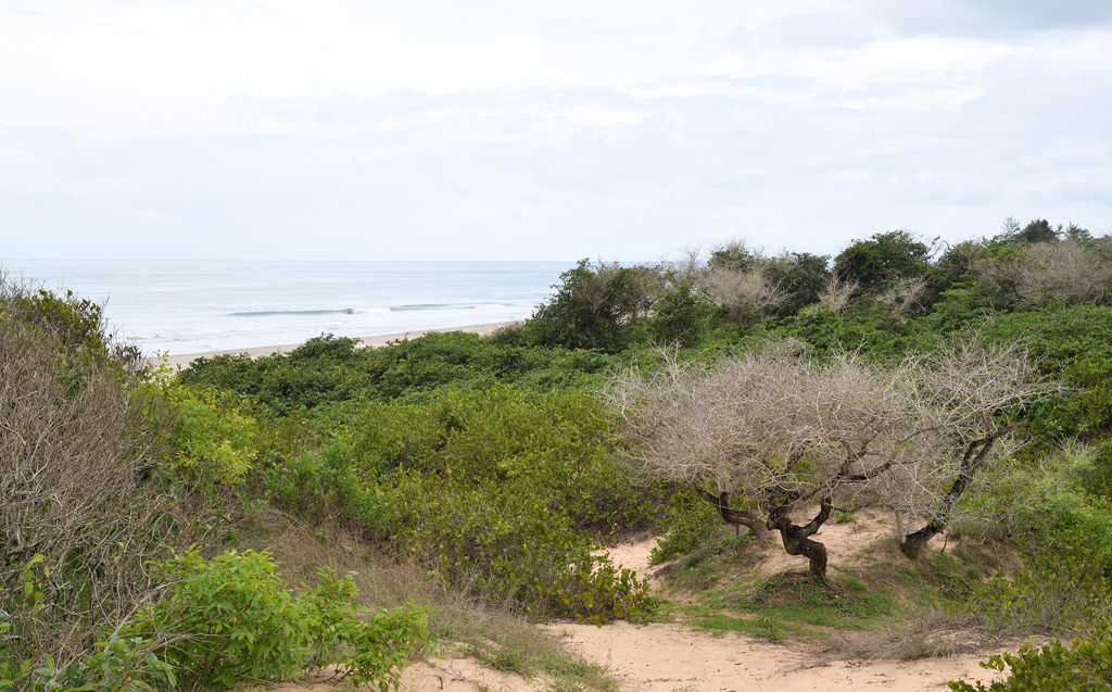 DS5_0123.jpg