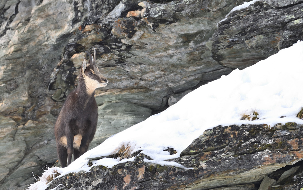 DS5_2305.jpg