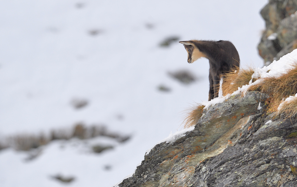 DS5_2310.jpg
