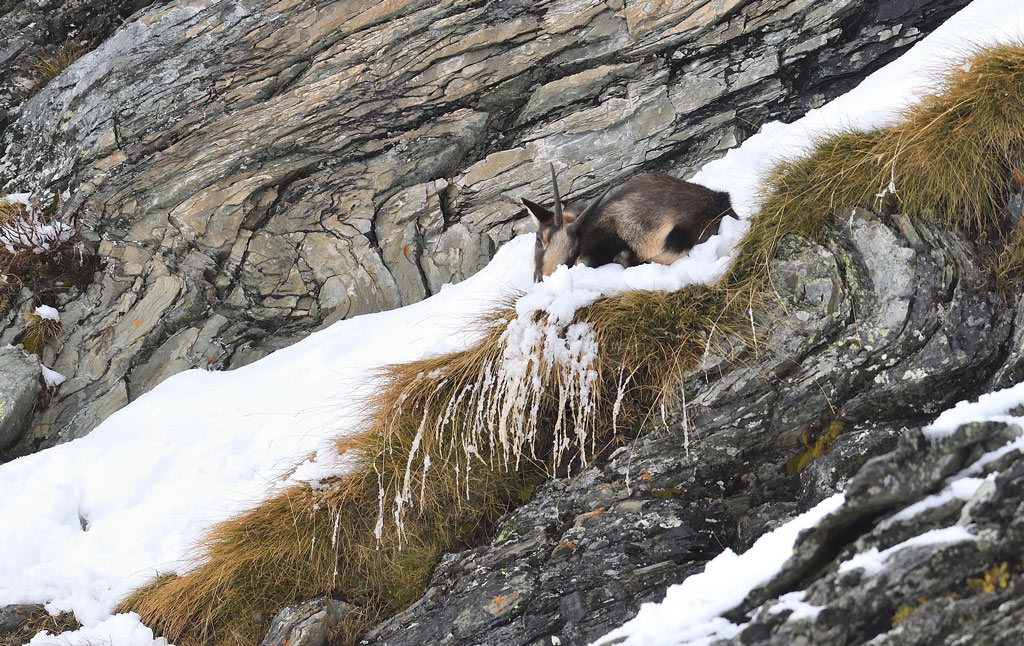 DS5_2325.jpg