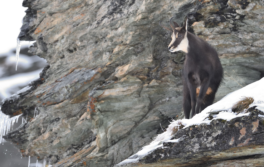 DS5_2336.jpg