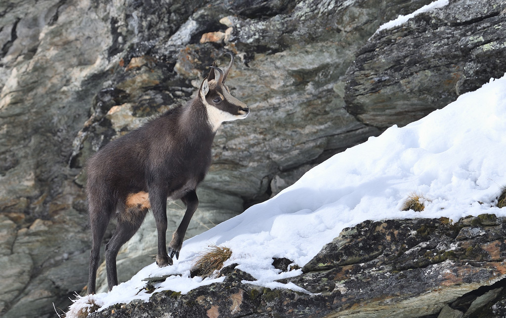 DS5_2341.jpg
