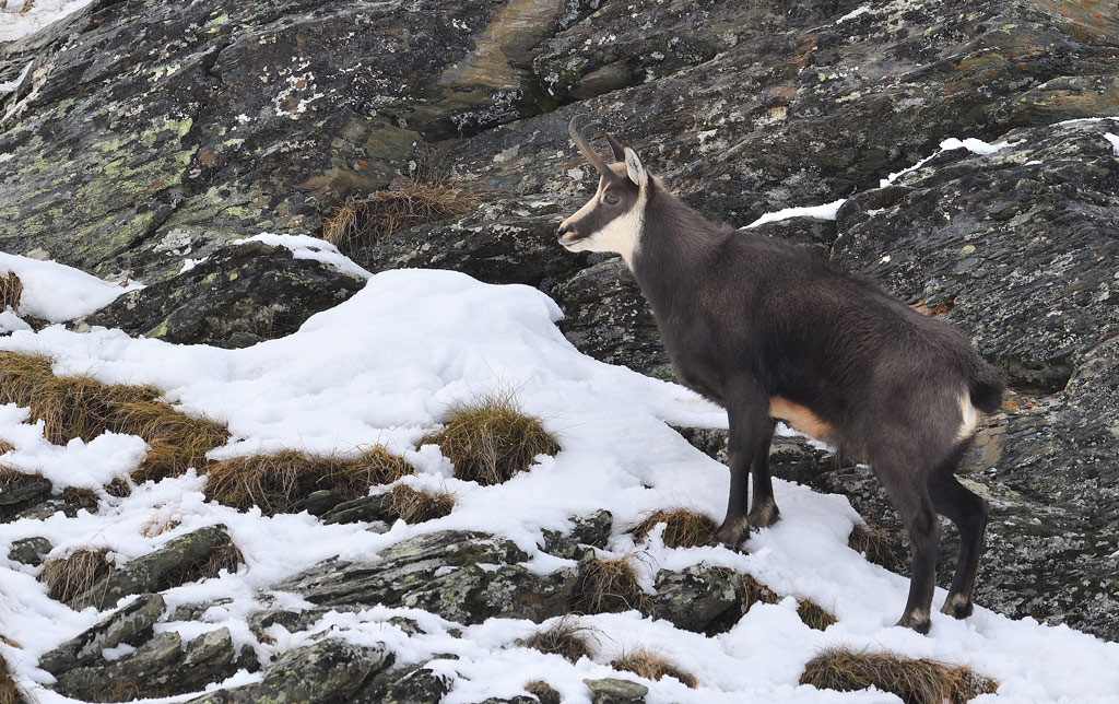 DS5_2365.jpg