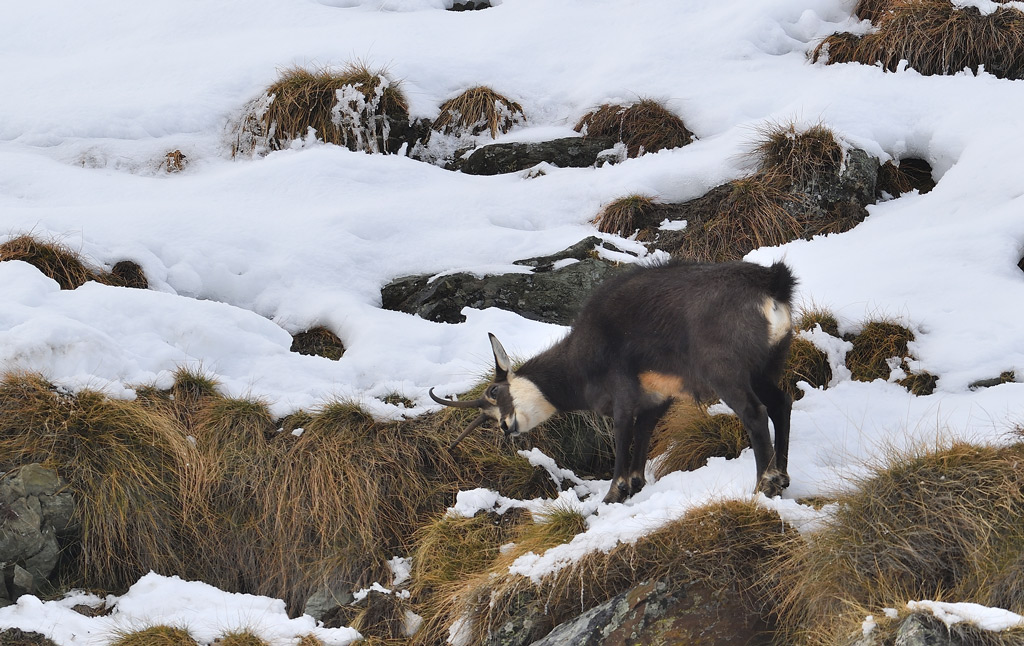 DS5_2370.jpg