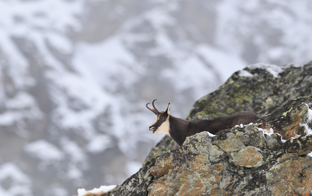 DS5_2379.jpg