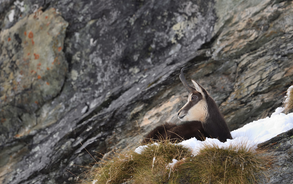 DS5_2394.jpg