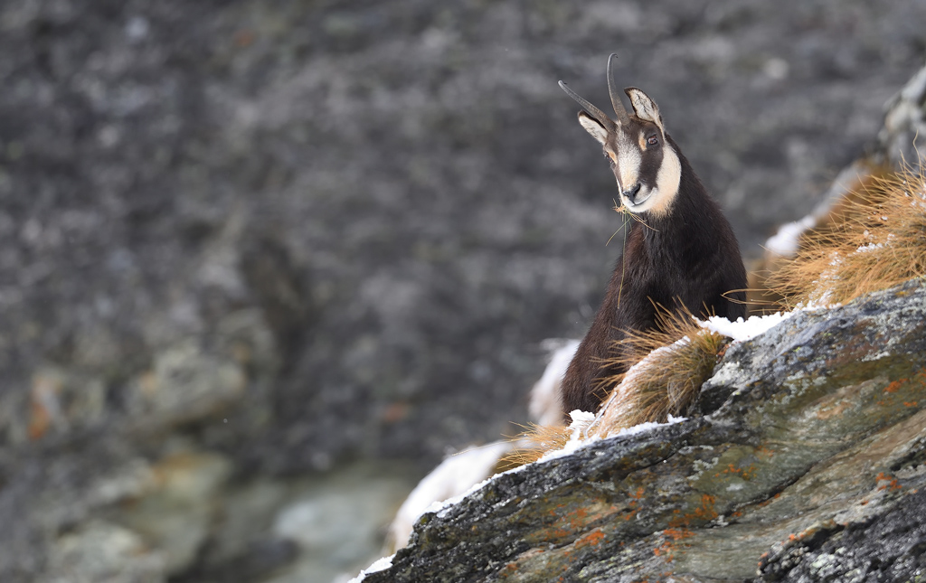 DS5_2402.jpg