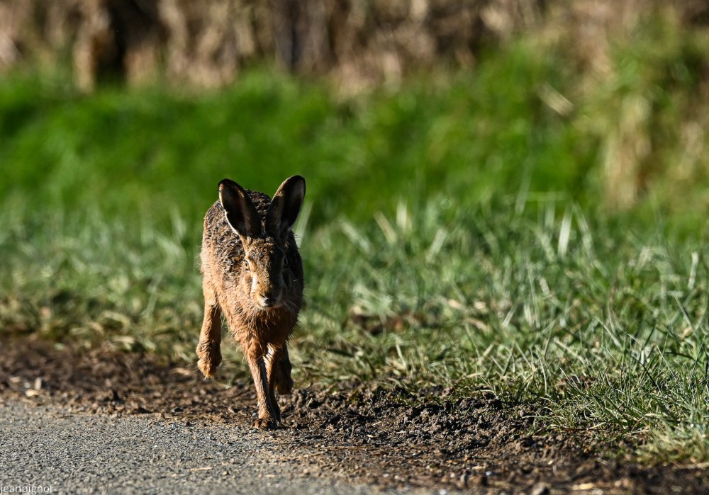 DSC_4700_2358.JPG