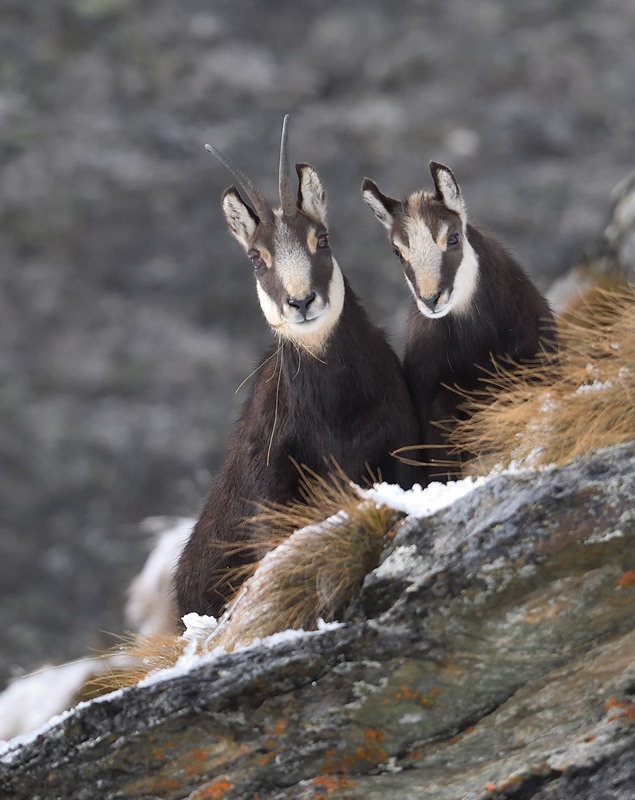 DS5_2408.jpg