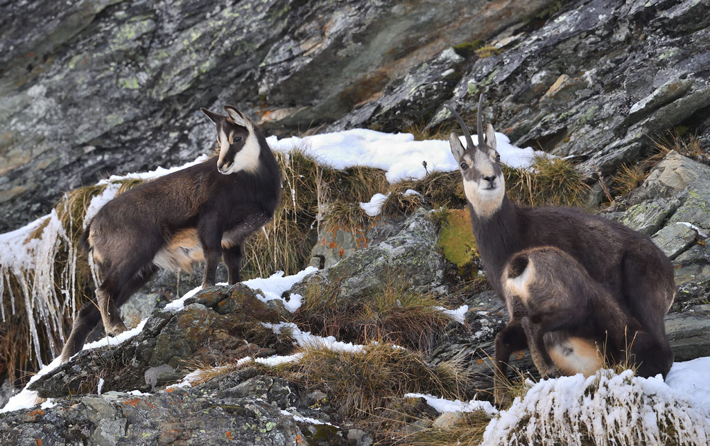 DS5_2417.jpg
