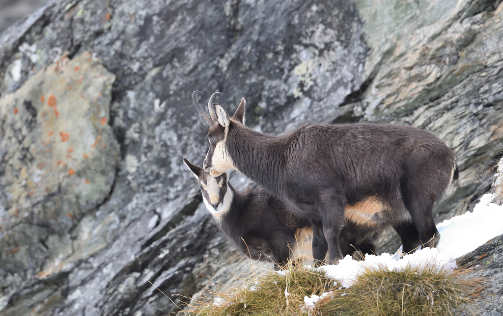 DS5_2420.jpg