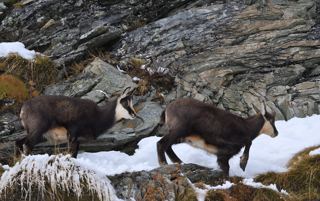DS5_2432.jpg