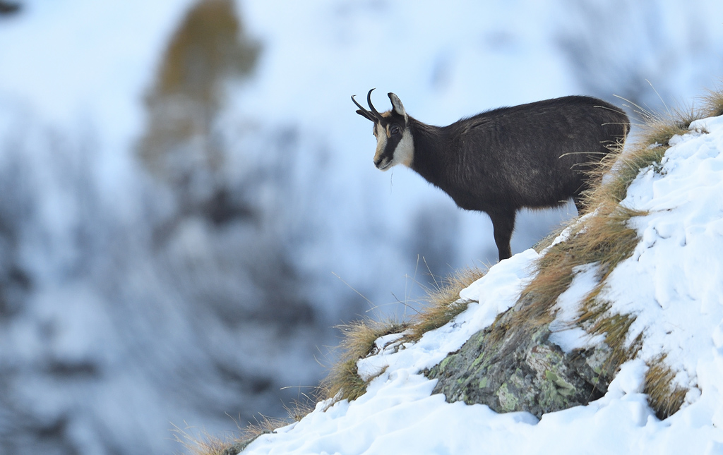 DS5_2475.jpg