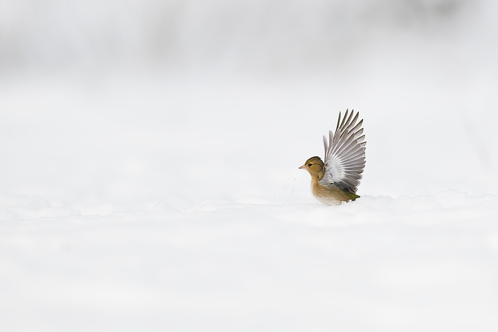 DSC_1882_DxO.jpg