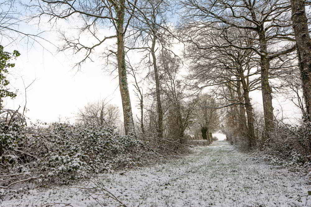 DSC_3268_2422.JPG