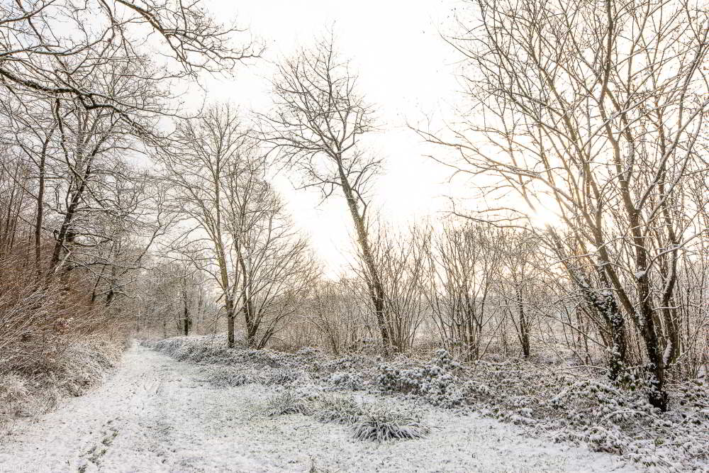 DSC_3259_2424.JPG