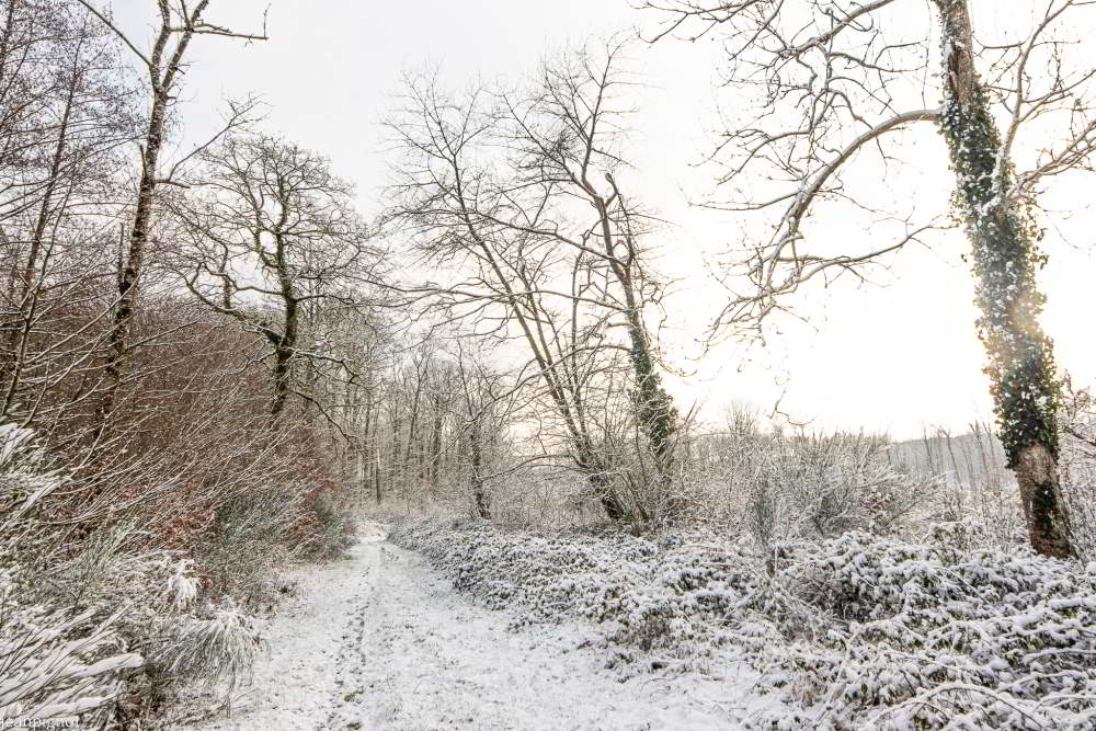 DSC_3258_2425.JPG