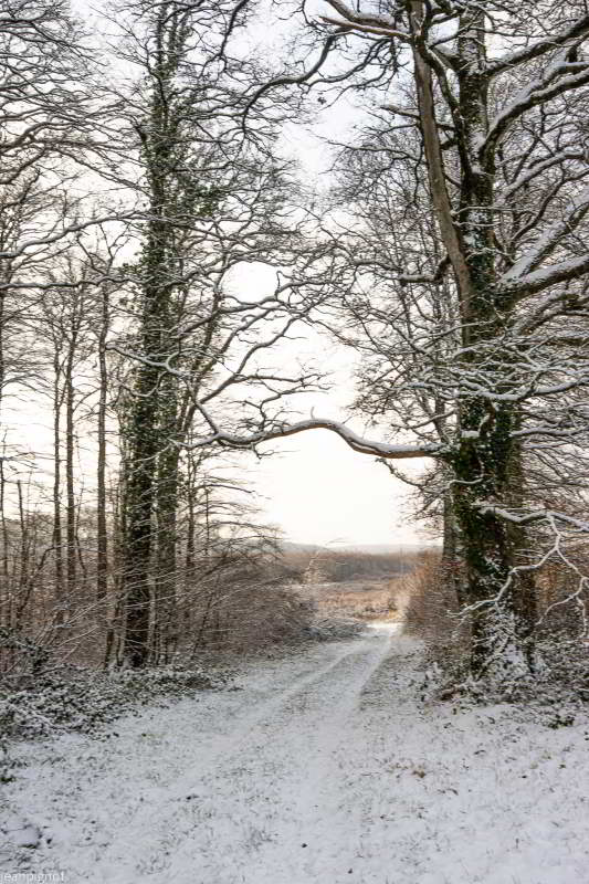 DSC_3254_2426.JPG