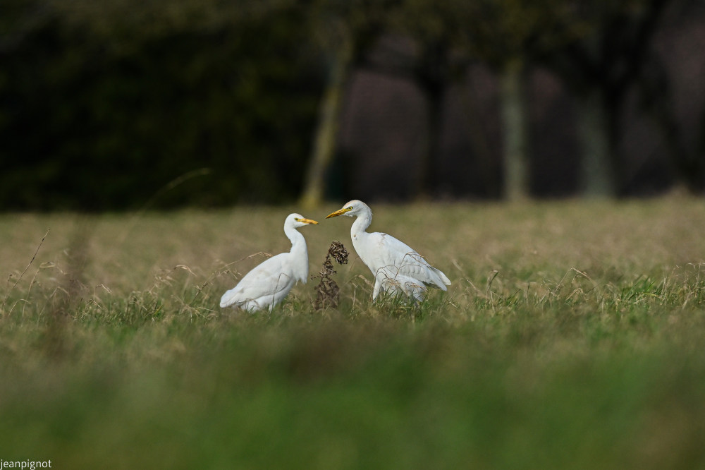 DSC_5741_2384.JPG