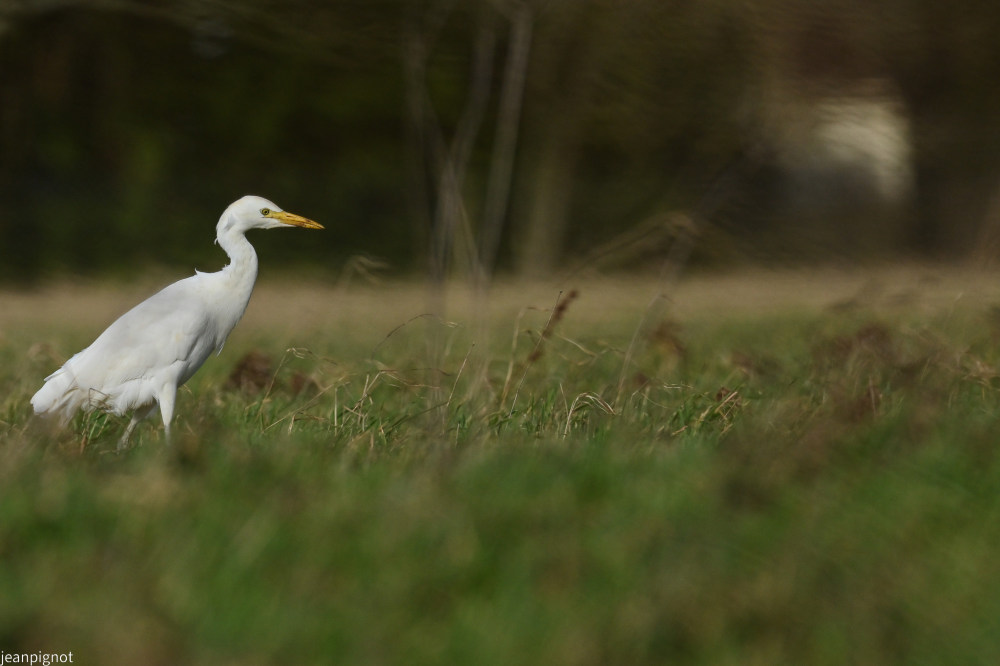 DSC_5791_2385.JPG