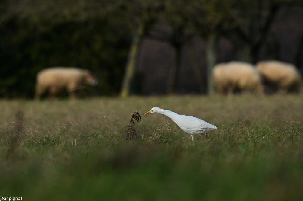 DSC_5802_2386.JPG