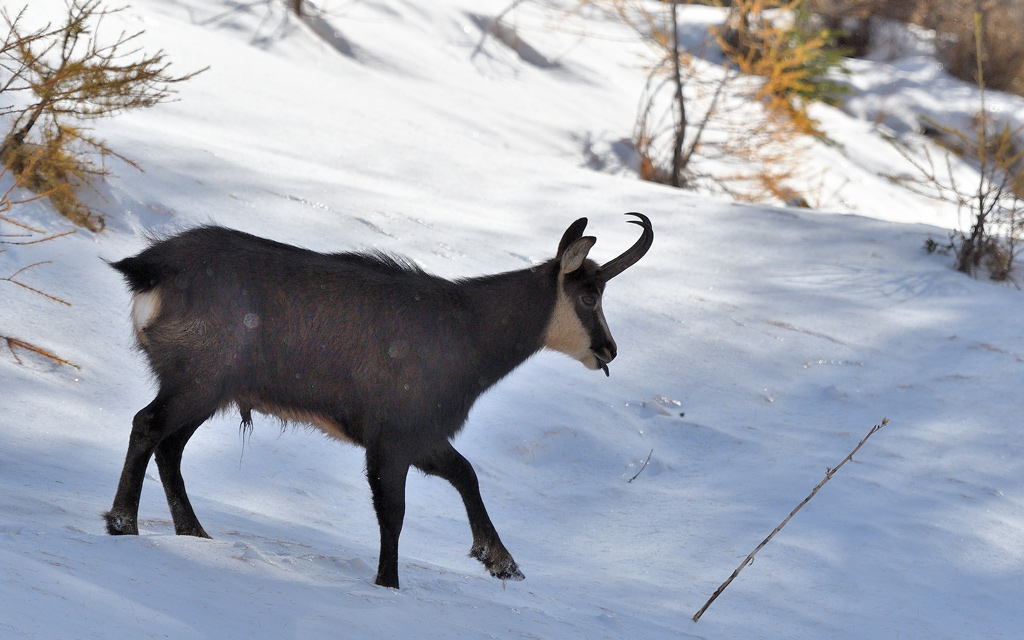 DSC_0636.jpg