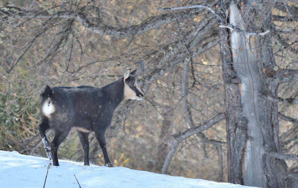 DSC_0644.jpg