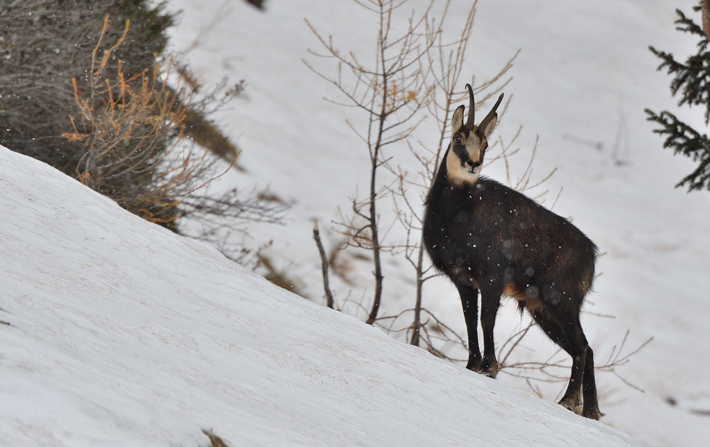 DSC_0668.jpg
