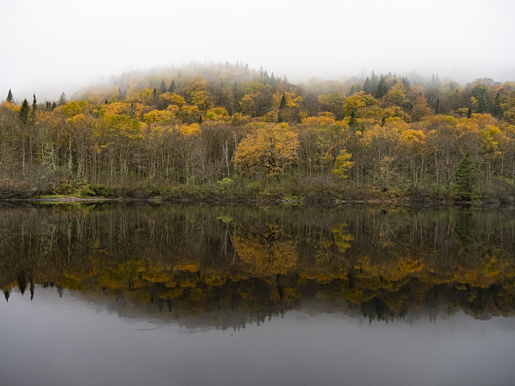 6 Parc national  de la Jacques Cartier.jpg