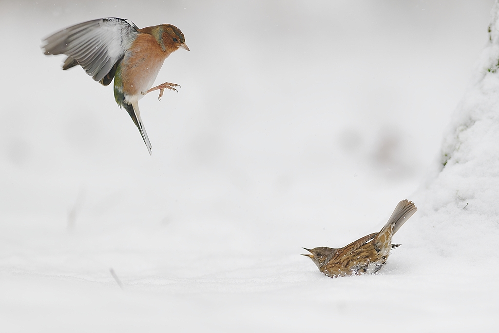 DSC_5325_DxO-1.jpg