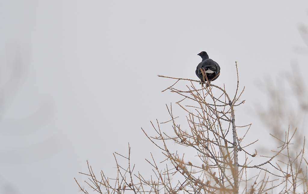 DS5_2479.jpg