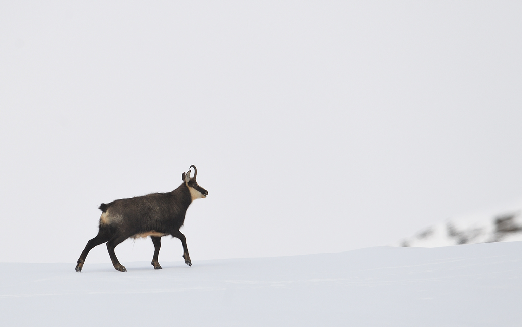 DS5_2481.jpg