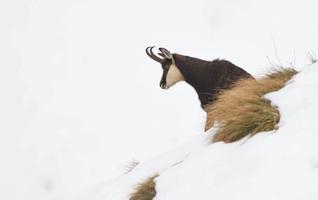 DS5_2486.jpg