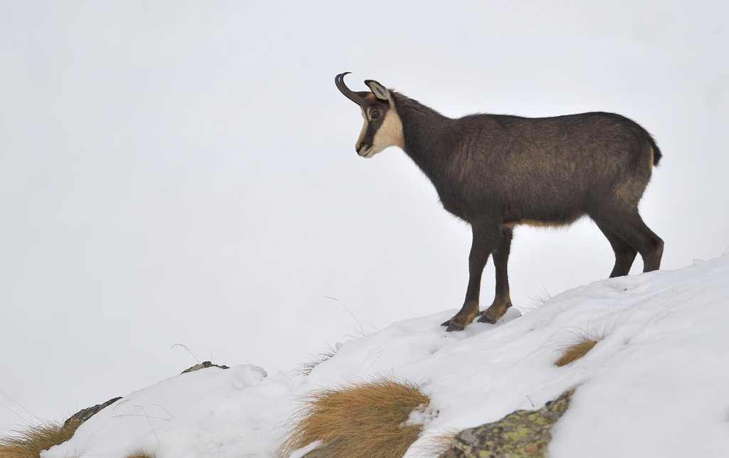 DS5_2492.jpg