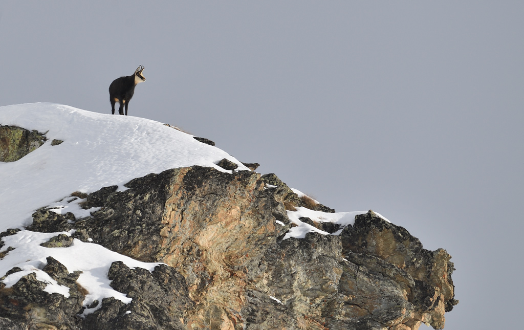 DS5_2510.jpg