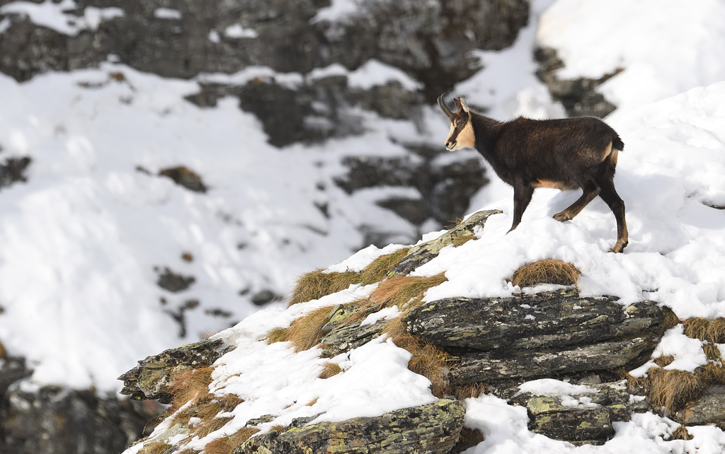 DS5_2513.jpg