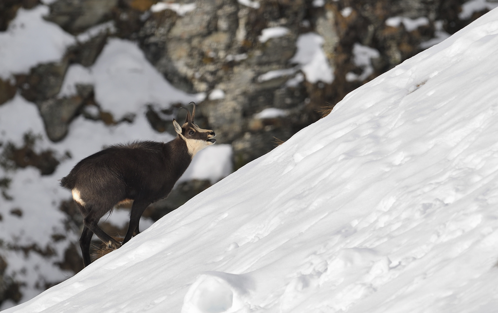 DS5_2519.jpg