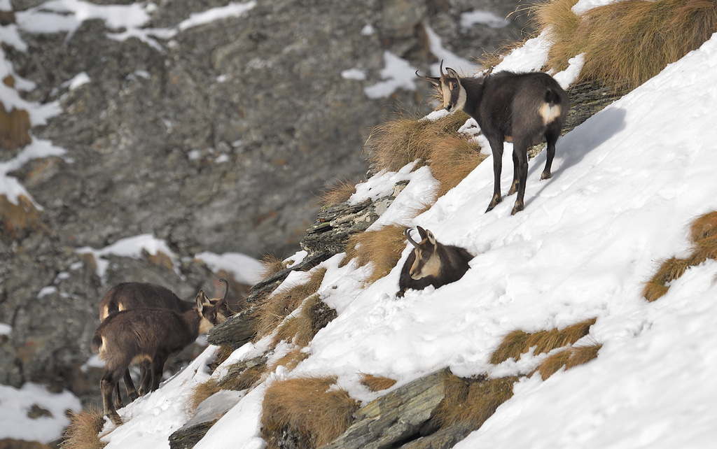 DS5_2530.jpg