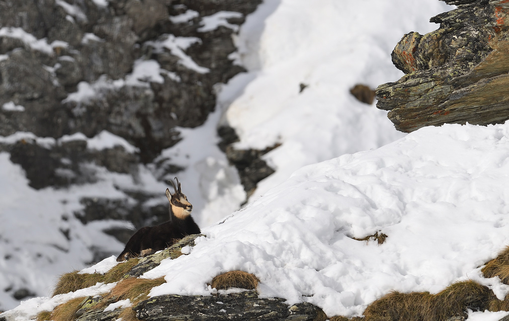 DS5_2534.jpg