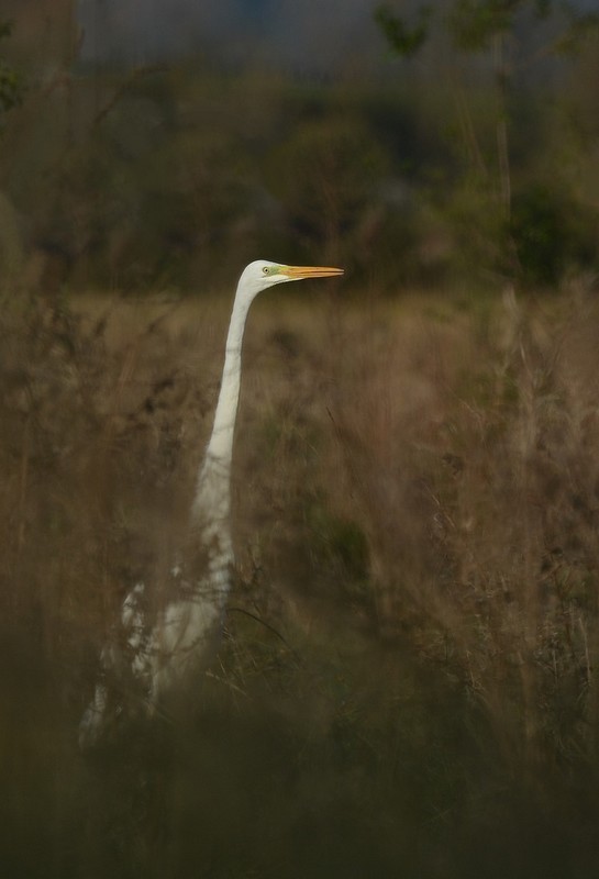 DSC_3313.JPG