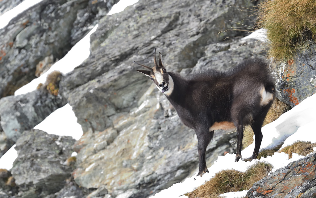 DS5_2537.jpg