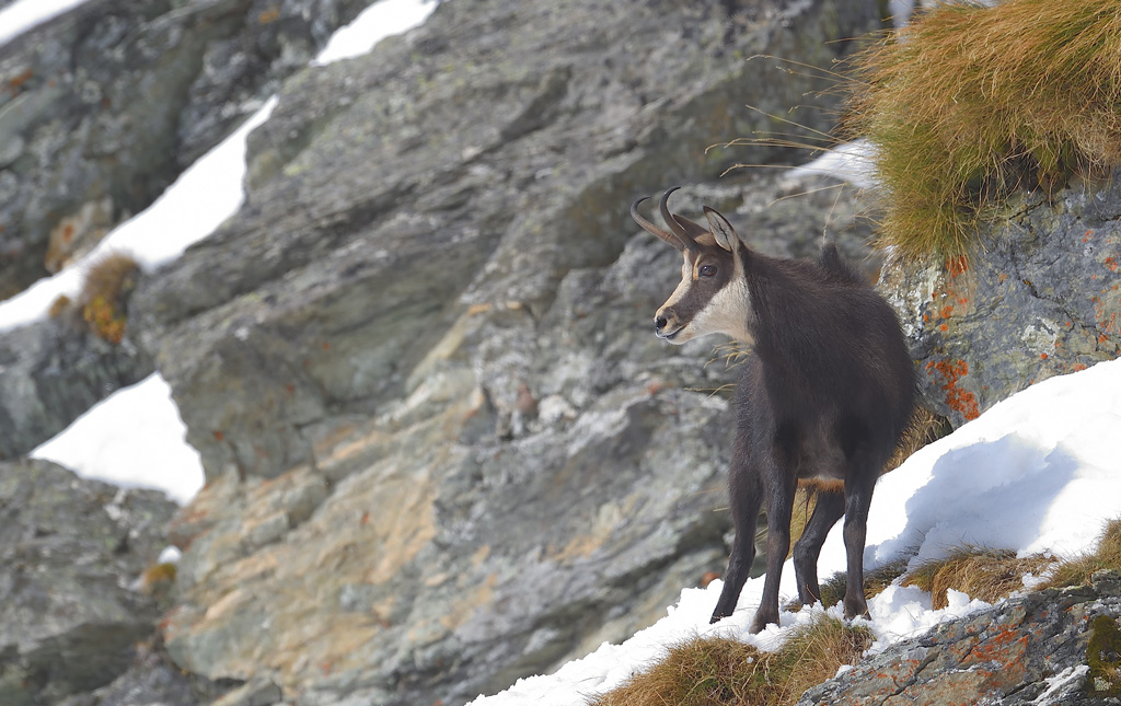 DS5_2550.jpg
