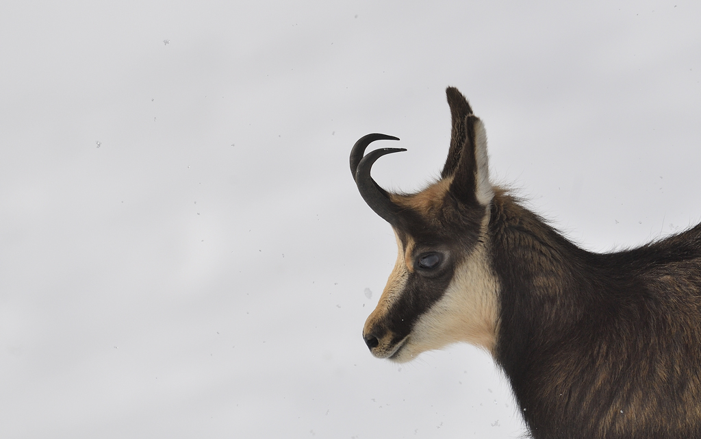 DS5_2552.jpg