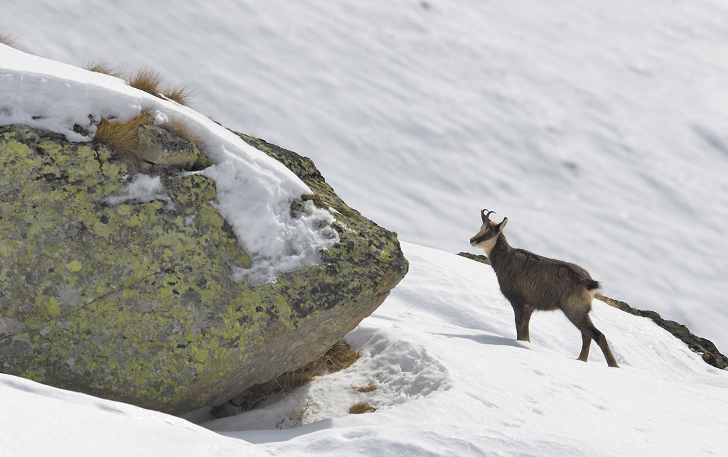 DS5_2560.jpg