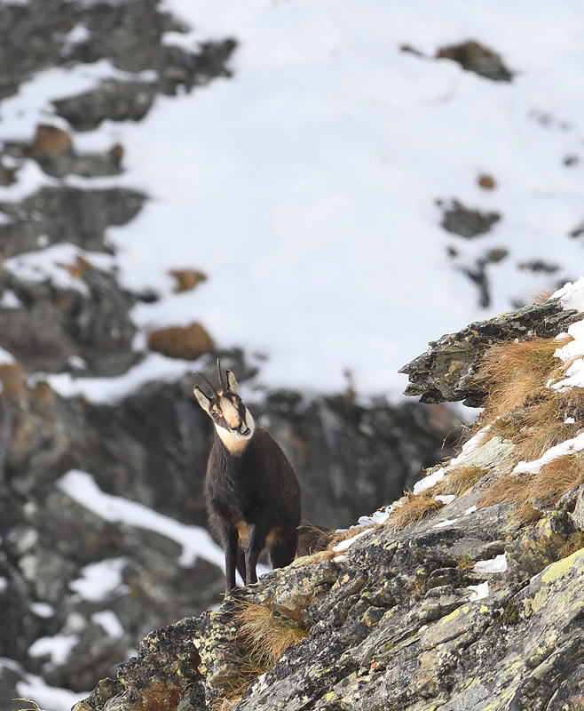 DS5_2566.jpg