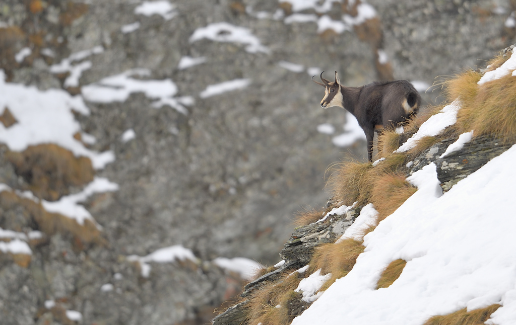 DS5_2574.jpg