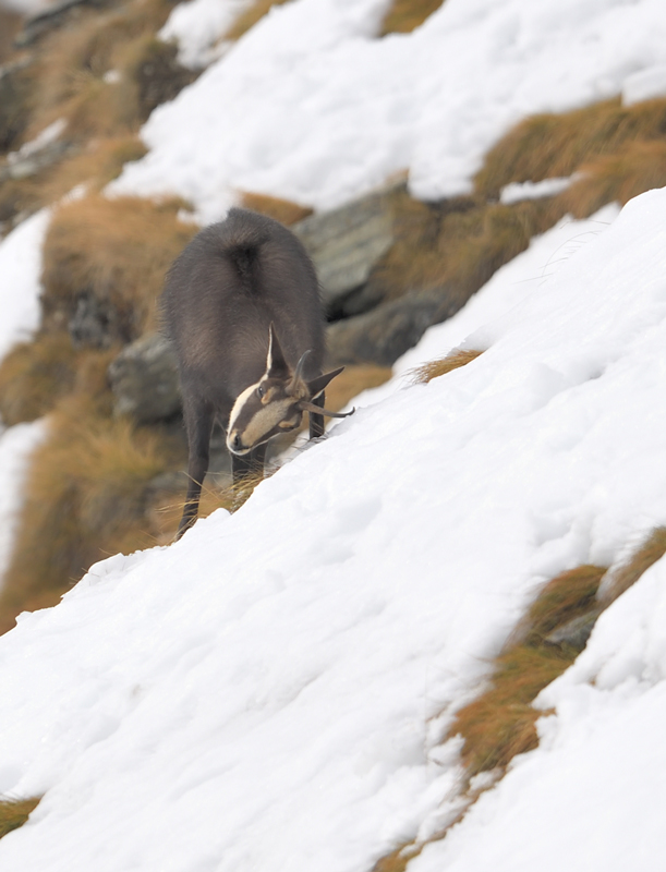 DS5_2584.jpg
